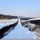 송림양돈 이미지