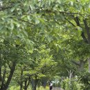 중앙열쇠 | 대전 국립중앙과학관 :: 세계공룡의날 공룡덕후박람회 후기 (화폐박물관 주차)