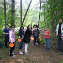 동강빌리지 이미지