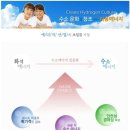 다음환경(주)