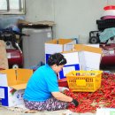 사과정원 이미지