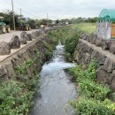 제주여관 이미지