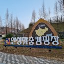 안성맞춤캠핑장매점 | 안성맞춤캠핑장 : 일반사이트 C23 후기 / 봄 캠핑, 솔캠 / 안성맞춤랜드