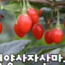 오디건강체험마을 이미지