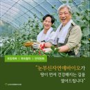 자연애농장 | 여수 유기농농사,비료 미생물추출물나야나 적용 결과