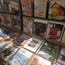 공감도서관 | 코엑스 크리스마스 트리 데이트 코스 별마당 도서관 장식 연말 볼거리 후기