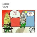 떼잉 ~ 쯧