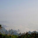 에델바이스 이미지