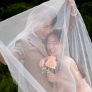 W. 웨딩촬영 | 어뮤즈하우즈 촬영 후기 (+보정 후기)