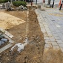평촌미관광장 | 땅꺼진 보도블럭인도 복구업체