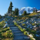 *10/30/2024, 정기산행팀 안내 - Skyline Trail Loop(Mt. Rainier)* 이미지