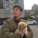 몽슈 펫그루밍샵 | 우리 집 막둥이 첫 배넷미용 한 날 ˃̶᷄‧̫ ˂̶᷅ ෆෆෆ이뻐쥬금 심꽁💕&lt;몽슈 펫그루밍샵&gt;애견미용 후기 🐶🐾