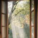 타로카드상담 이미지