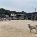 서강원농장 뉴시스