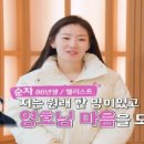 순자수산