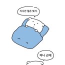 금성에너지 | 💍W07. 신혼 매트리스 | (시몬스,힐러리디비,씰리,금성침대 투어 후) 씰리 ‘에오스2’ 로 침대졸업...