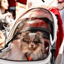 현대아울렛 이미지