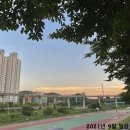[일상] 2021년 9월, 번아웃