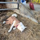 함평농장 이미지