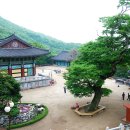 중랑경찰서 Daum카페