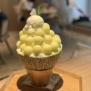 슬로우터틀 이미지