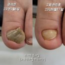 손에핀 꽃