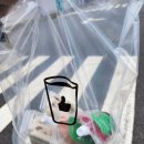 인천 도화동 카페, 베러먼데이커피 인천도화지젤점 건강메뉴 포장 후기