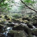 산새목장 이미지