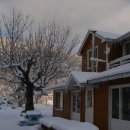 새이모퉁이 이미지