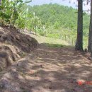 두솔농장 이미지