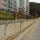 곤지암로 Daum카페