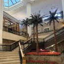 스위스그랜드호텔 이미지