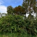 태안상회 이미지