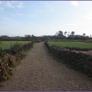 종달바당 이미지