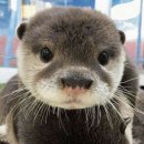 펜션이야기 이미지