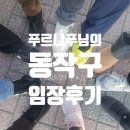 동작구의회 | 푸르니푸님의 동작구 임장후기