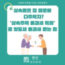 광선세무회계
