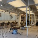 민경애견 이미지