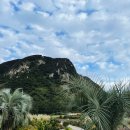 제주542펜션 이미지