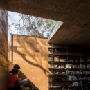 소통하는 나무 이미지