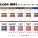 살롱드비율 이미지