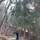 원조소문난밀양돼지국밥 이미지