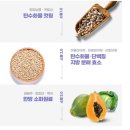 빌런푸드