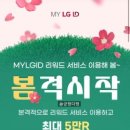 마이즈헤어 이미지