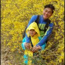 용천(안산) 이미지