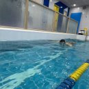 용호레포츠 | 평영이 어려운 이유— 자세 교정 후 달라진 수업 후기