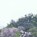 색동저고리 이미지
