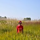 계절그리기 이미지