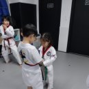 용인대멘토태권도 이미지