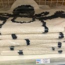 윌리스펫 이미지